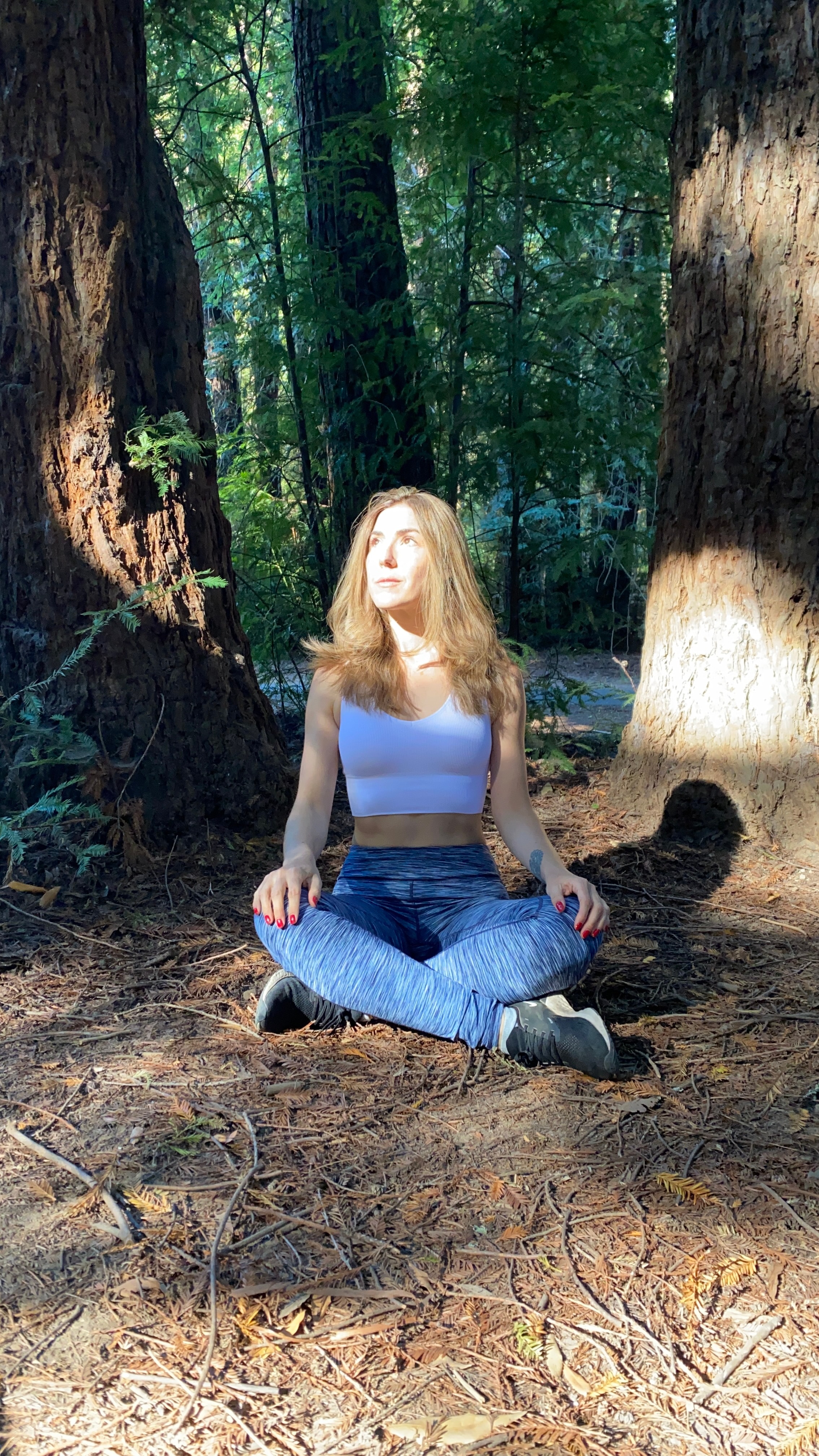 The Missing Piece: Why Food Alone Isn't Fixing Your Health