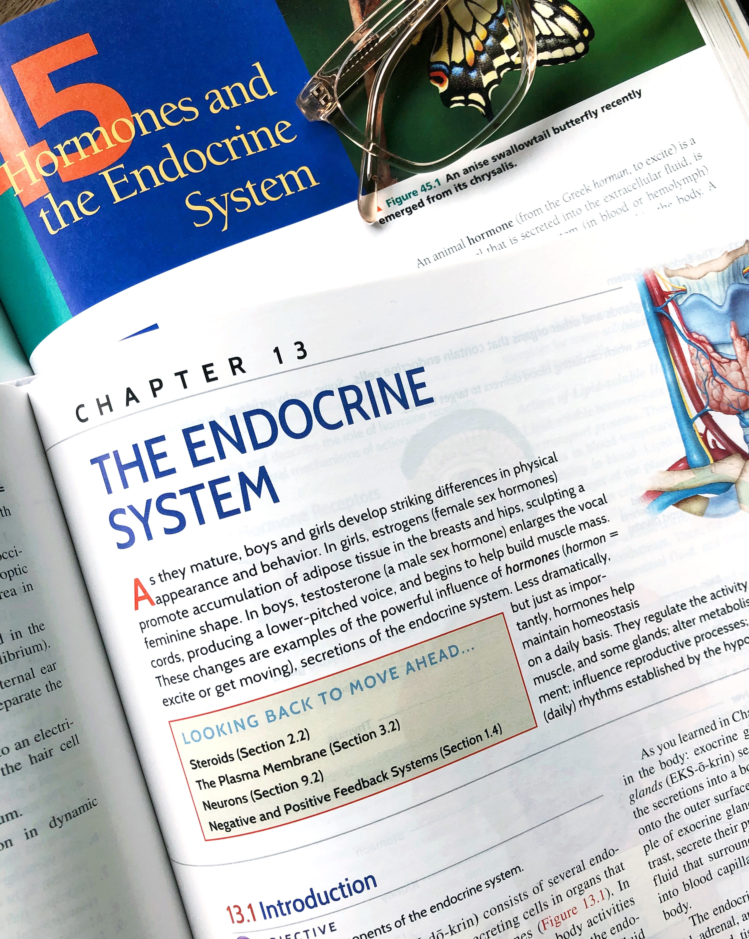 Understanding Hormone Health: A Functional Approach